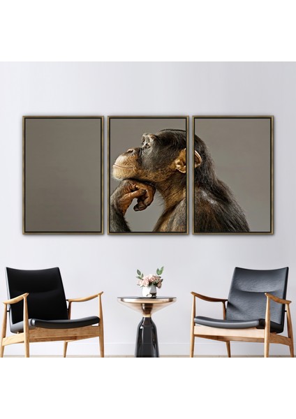 3 Parçalı Gold Çerçeveli Kanvas Tablo, Maymun Fotoğraf Baskısı Düşünme, Şempanze Baskılı,