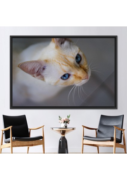1 Parça Siyah Çerçeveli Kanvas Tablo, Kedi Fotoğraf Baskısı, Kedi Sevgilisi Hediyesi Kanvas Poster,