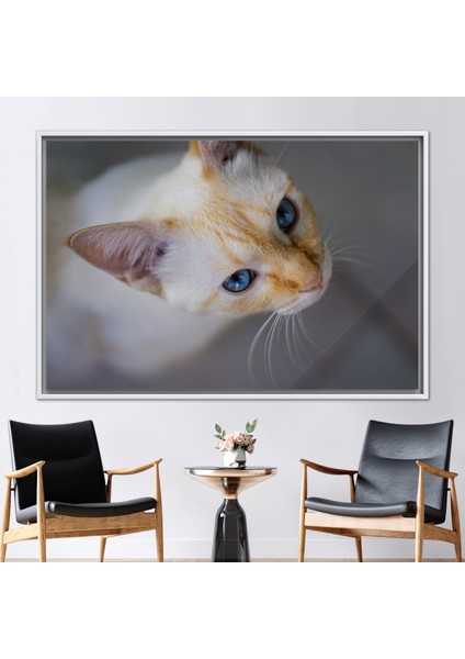 1 Parça Beyaz Çerçeveli Kanvas Tablo, Kedi Fotoğraf Baskısı, Kedi Kanvas, Hayvan Baskılı,