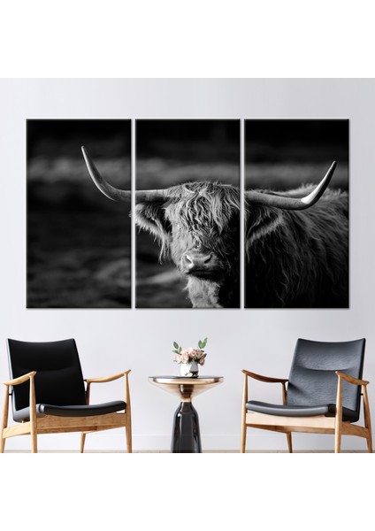3 Parçalı Kanvas Tablo, Öküz Fotoğraf Baskısı, Vahşi Yaşam Kanvas Dekor, Öküz Baskılı,