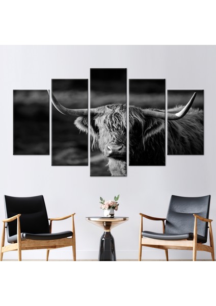 5 Parçalı Mix Kanvas Tablo Öküz Fotoğraf Baskısı Vahşi Hayvan Kanvas Baskı