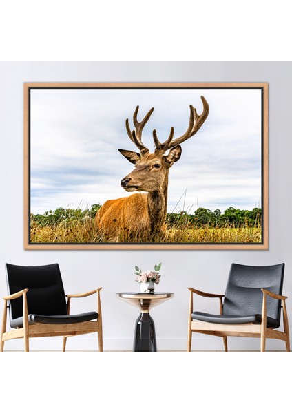 1 Parça Naturel Çerçeveli Kanvas Tablo, Safari Kanvas Sanatı, Hayvan Sanat Eseri,