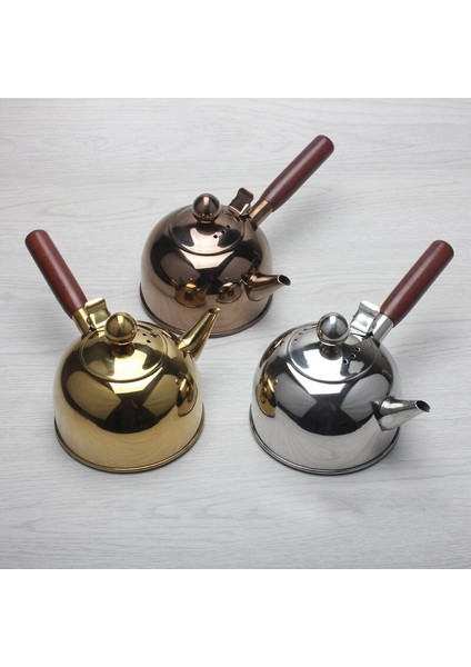 Tek Su Isıtıcısı Indüksiyon Türk Kahvesi Süt Çaydanlık (Yurt Dışından) fiyatları