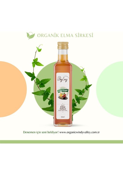 Organic Windy Valley Organik Elma Sirkesi Katkısız Doğal Fermente (500ml)