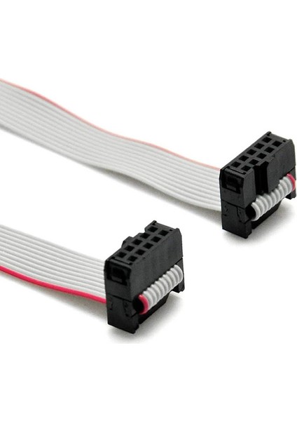 Roba 20cm 10 Pin IDC Flat Kablo