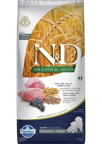 Düşük Tahıllı Kuzulu Yaban Mersinli Yavru Büyük Irk Köpek Maması - 12 kg