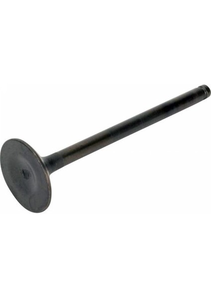 Dio 110 Emme Subabı