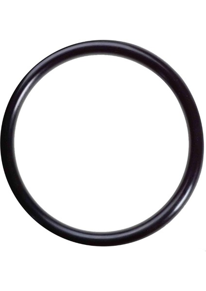 Pulsar 200 Ns Oring 2X28