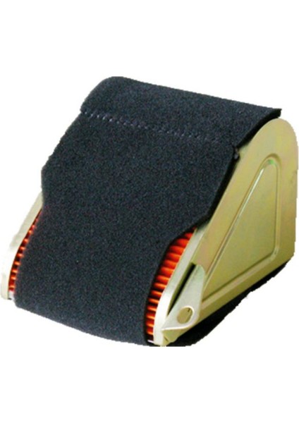 Loyal 100 Hava Filtre Elemanı