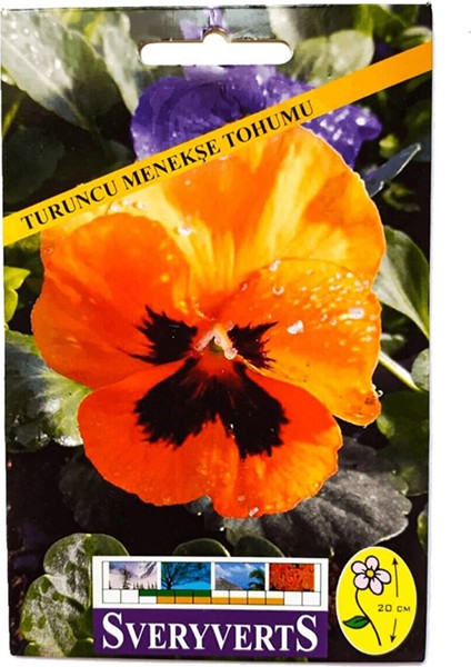 Turuncu Menekşe Çiçeği Tohumu