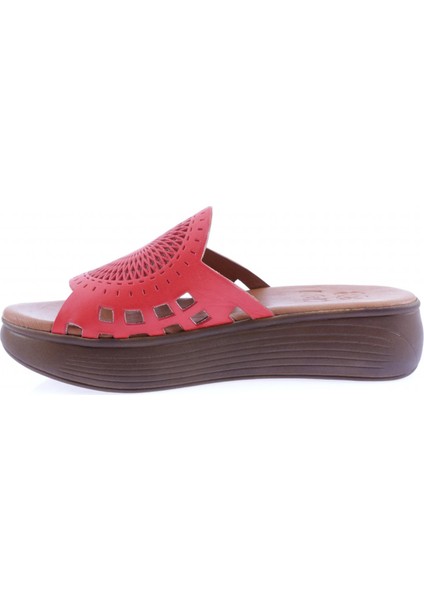 501 23Y Kadin Lazer Baskili Kalin Taban Terlik modelleri