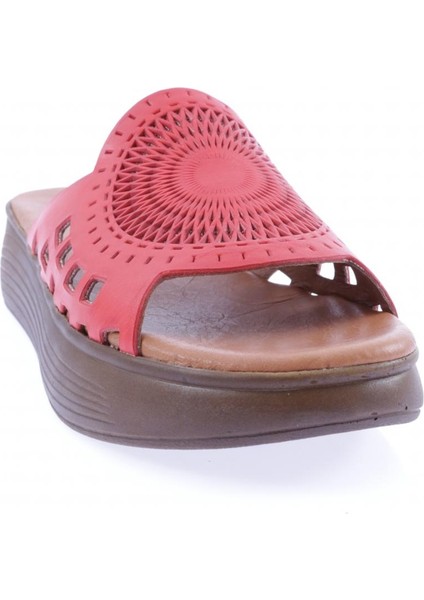 501 23Y Kadin Lazer Baskili Kalin Taban Terlik fırsatları