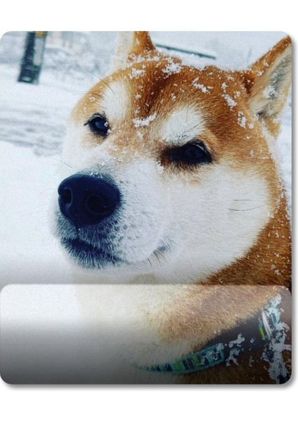 Shiba Inu - Köpek Bilek Destekli Mousepad Model - 1