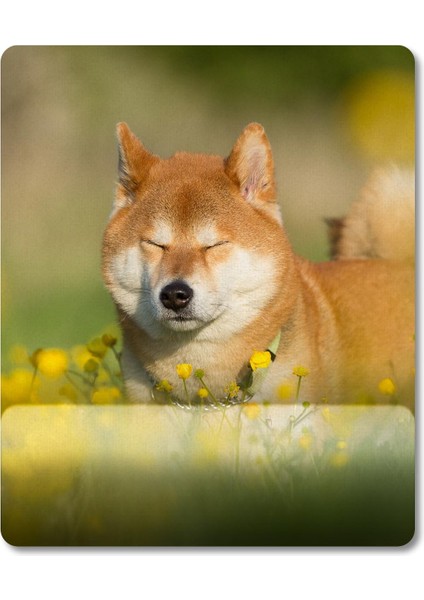 Shiba Inu - Köpek Bilek Destekli Mousepad Model - 3