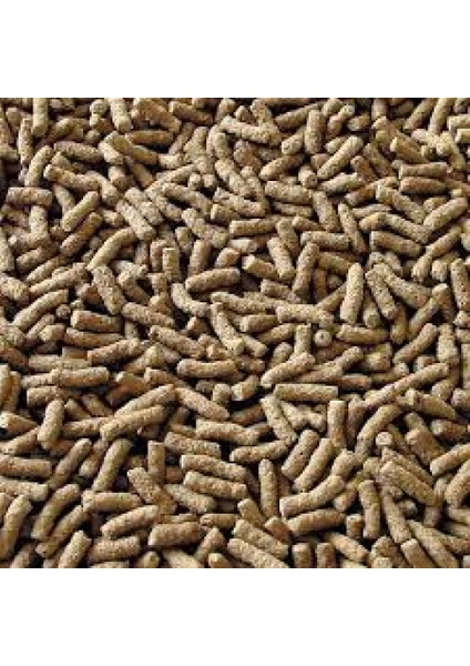 Pond Granulat 100 Gr Balık Yemi (Açık)