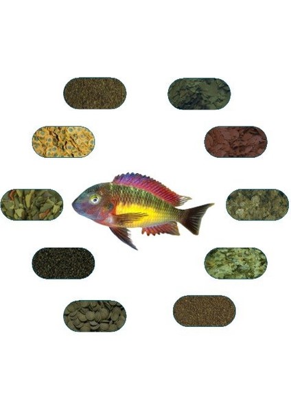 Tropheus Red Rainbow Özel Balık Yem Paketi (6 Çeşit) 100 Gr/Ad