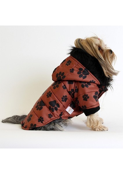 Pet Mont Pati Desenli Kahverengi Köpek Kedi Kıyafeti