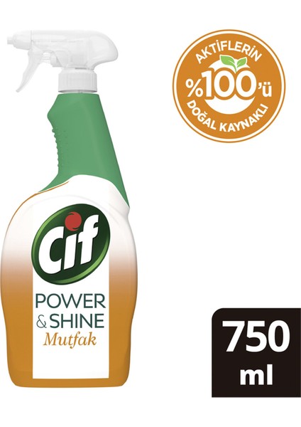 Power & Shine Mutfak Sprey Temizleyici 750 ml