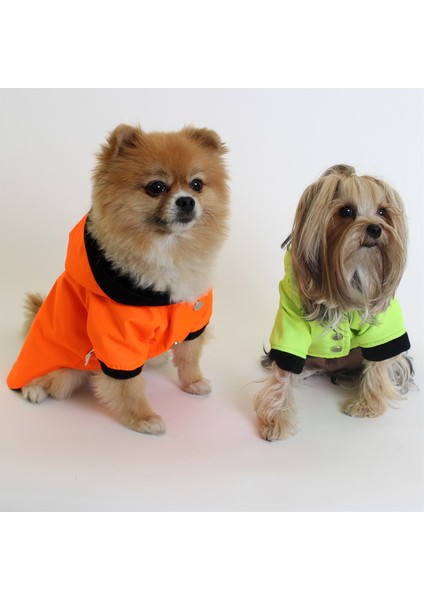 Membranlı Polarlı Pet Yağmurluk - Yeşil - Köpek Kedi Kıyafeti fırsatları
