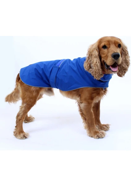 Max Design Soft Shell Bel Bantlı Mavi Pet Yağmurluk Köpek Kedi Kıyafeti