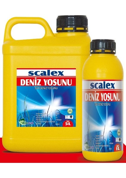 Scalex- Deniz Yosunu