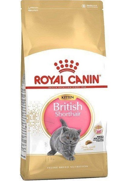British Shorthair Kitten Yavru Kedi Maması 2 kg