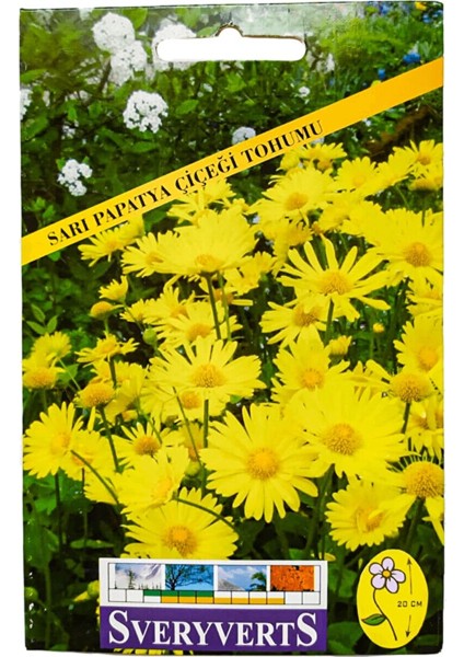 Sarı Papatya Tohumu