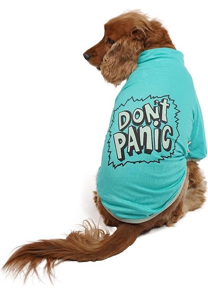 Mint Don't Panic Sweat Kedi Köpek Sweat Kedi Köpek Kıyafeti