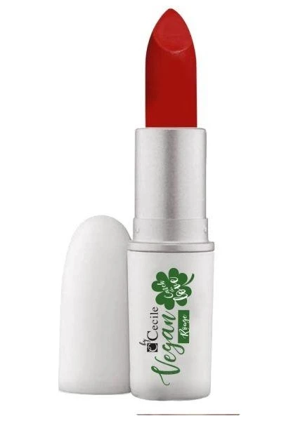 Vegan Stıck Rouge Ruj 04