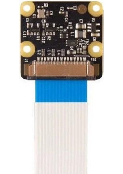 Raspberry Pi Kamera Modülü V2 - Noır modelleri