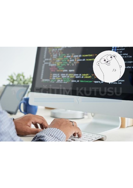 Eğitim Kutusu Golang Programlama (A'dan Z'ye) Eğitimi | Eğitim Kutusu