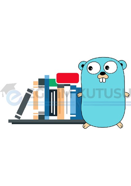 Golang Programlama Standart Library 1 Eğitimi | Eğitim Kutusu