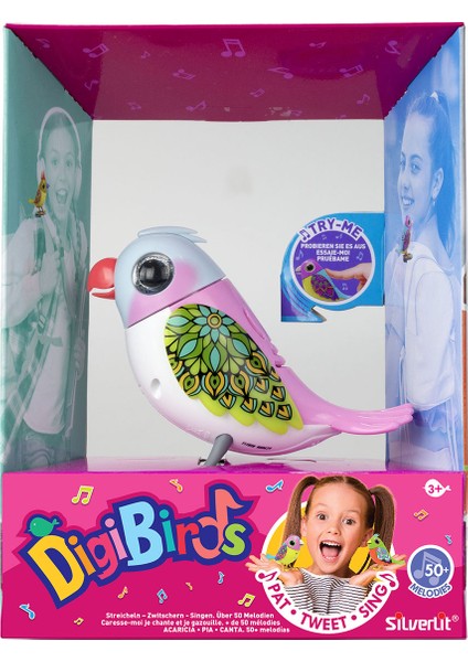 Digibirds Tekli Paket Seri 2 - Model 3