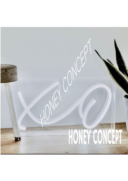Xo Neon LED Işık