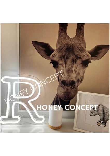 R Harf Neon LED Aydınlatma