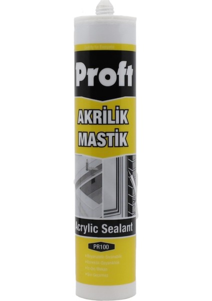 PR100 Akrilik Mastik 450 gr Siyah