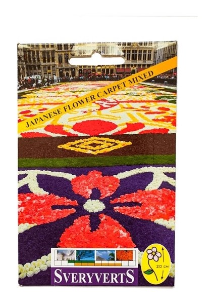 Japanese Flower Carpet Mixed Çiçeği Tohumu