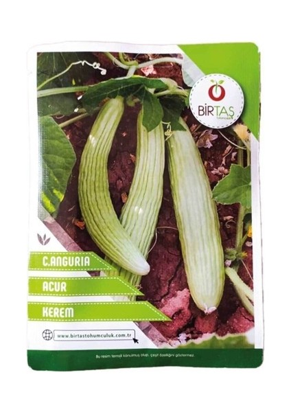 Acur Tohumu Paket