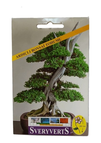 Ardıçlı Bonsai Çiçeği Tohumu