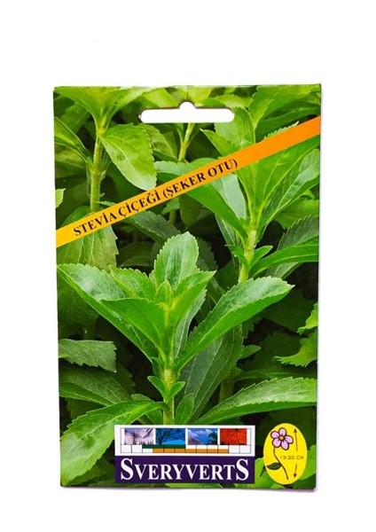 Stevia (Şeker Otu) Çiçeği Tohumu