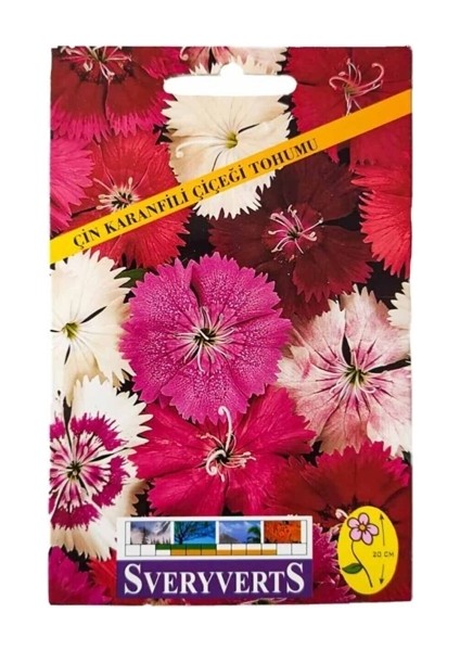 Çin Karanfili Çiçeği Tohumu