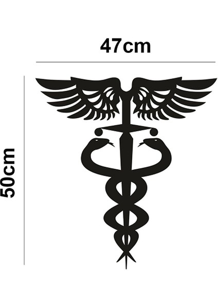 50X47 Tıp ve Sağlık Sembolü Doktor Hemşire Eczacı Dekor Tablo Mdf Ahşap Lazer Kesim Duvar P