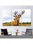 3 Parçalı Kanvas Tablo, Geyik Manzarası Kanvas Poster, Geyik Kanvas, Safari Baskılı, 1
