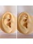 Bioplast Spaky Rook, Snog, Kaş Muz Pirsing / Banana Piercing-Bar Uzunluğu 8mm-1 Adet 2