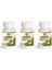 Artichoke (Enginar) 120 Tablet 3 Kutu 1