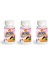 Curcumin + Milk Thistle 60 Tablet 3 Kutu 1