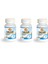Force NutritionFolic Asid 400 Mcg 120 Tablet 3 Kutu 1