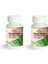 Ginkgo Biloba 120 mg 200 Tablet x 2 Adet 1