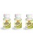 Ginseng Ginkgo Biloba 120 Tablet 3 Kutu 1