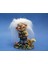 Wıse Veronese Serisi-Wıse Troll - Çiçekli-11*7,5*6,5 Cm. 1